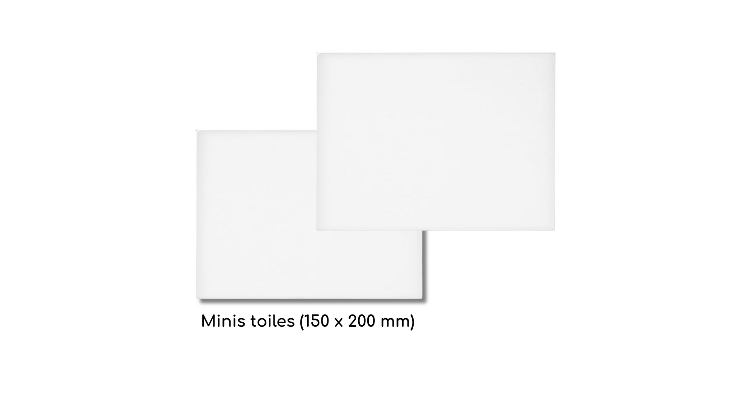 Photo de deux mini toiles blanches au format 150 x 200 mm, utilisées comme support de collage dans les kits créatifs My Art Lab.